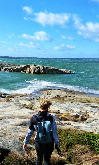 NATURRESERVAT/ VANDRINGSLEDER BJÖRNERÖDSPIGGEN Bohusläns högsta berg 222 meter över havet. Vindskydd och utsiktstorn som erbjuder utsikt långt ut över landskapet.