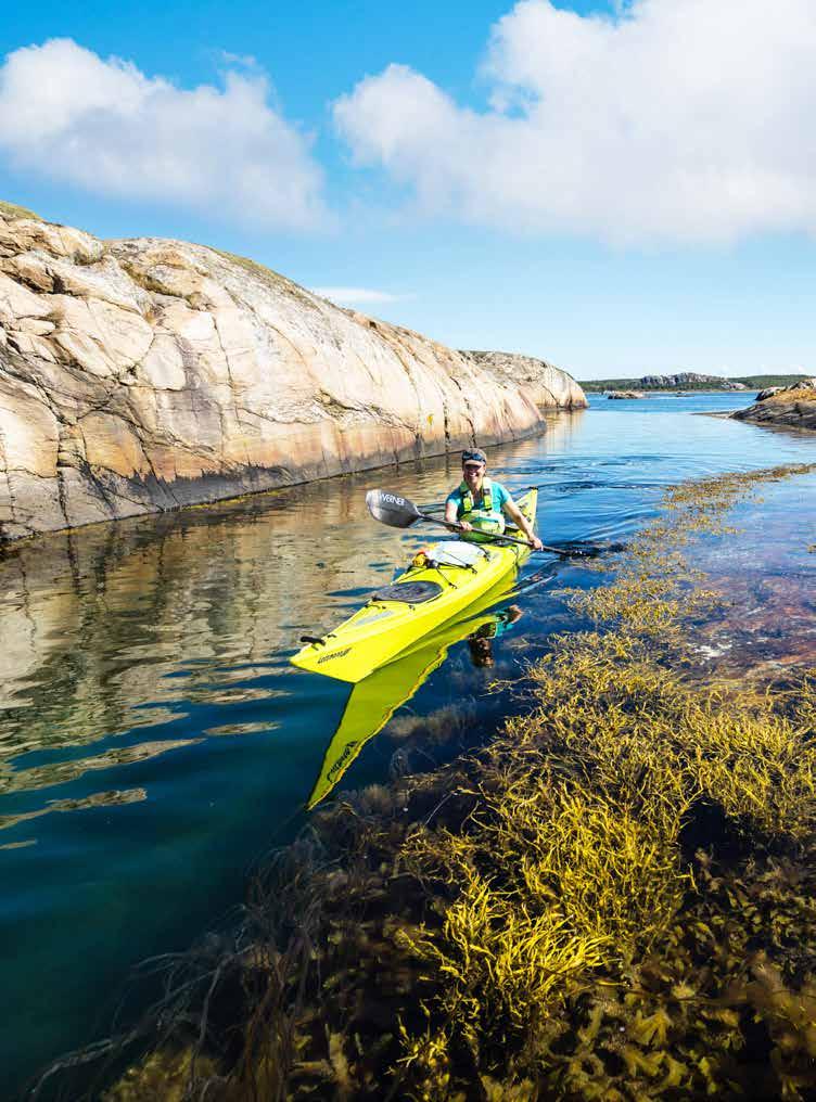 Kajakpaddling i Kosterhavets nationalpark och magisk cykelutflykt på Kosteröarna Med Kosteröarna och