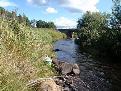 930. Linneån, Kroppån Koordinater: 6364330 / 1446780 (RT90_25gonV) Län: 6 Jönköping Vattendragsbredd: 3,5 m Syfte: Samordnad recipientkontroll (SRK) Medeldjup provyta: 0,3 m Provtagningsmetodik: