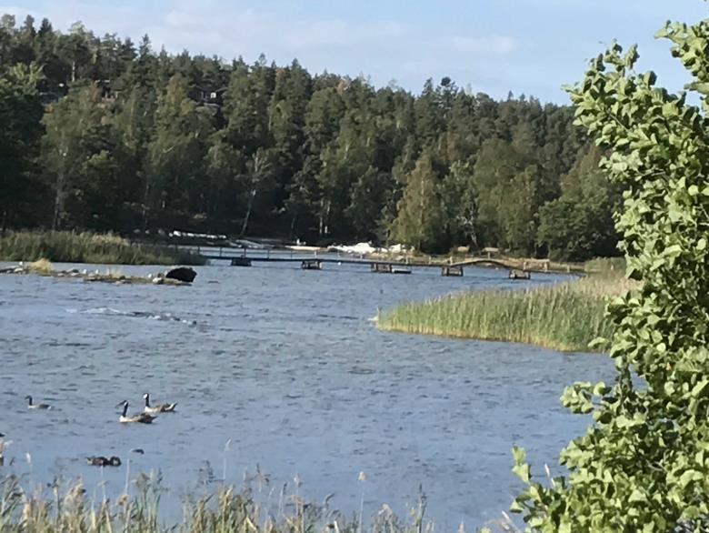 OBS! Gå gärna med i Facebookgruppen Mörbyfjärden MIF så får du aktuell information och inlägg runt våra aktiviteter och kan läsa eller posta spontana aktiviteter.