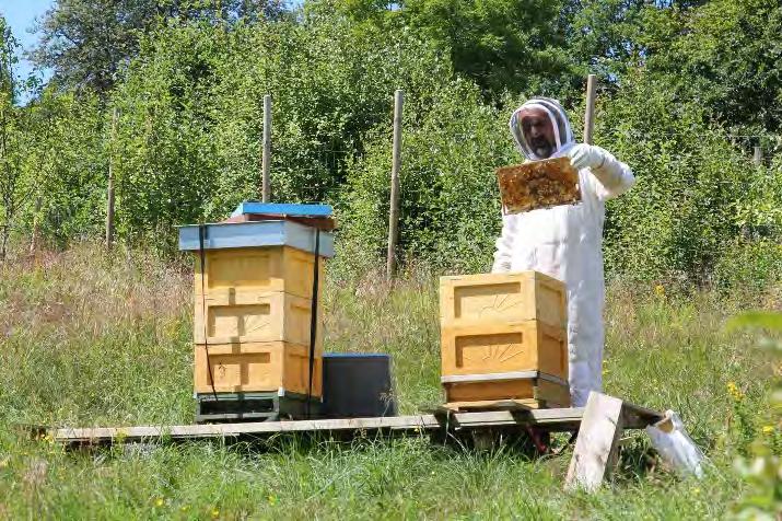 högautomatiserade mjölkgården. Intresset för biodling ökar vilket är extra bra med tanke på den kraftiga globala minskningen av bi.