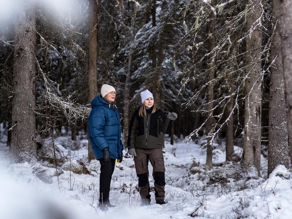 Den stora tjusningen med att äga skog är att ta hand om den röja och gallra Beatrice Wikman förvärvade sin första egna skogsfastighet för tre år sedan tillsammans med sin man Marcus.