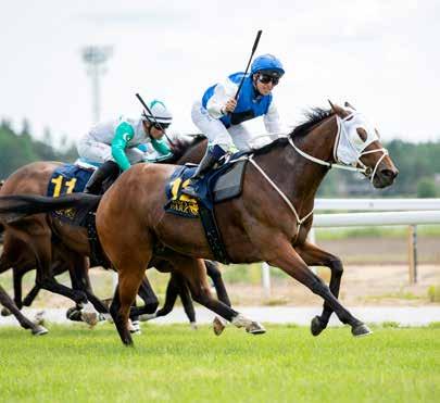 Sarookh (e Speightstown) är en fin sprinter som var fem, slagen med två längder, i Zawawi Bro Park Vårsprint (L). Distansen fungerar och den här amerikanaren är effektiv även på gräs.