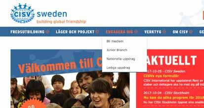 Hur finansieras CISV Sweden?