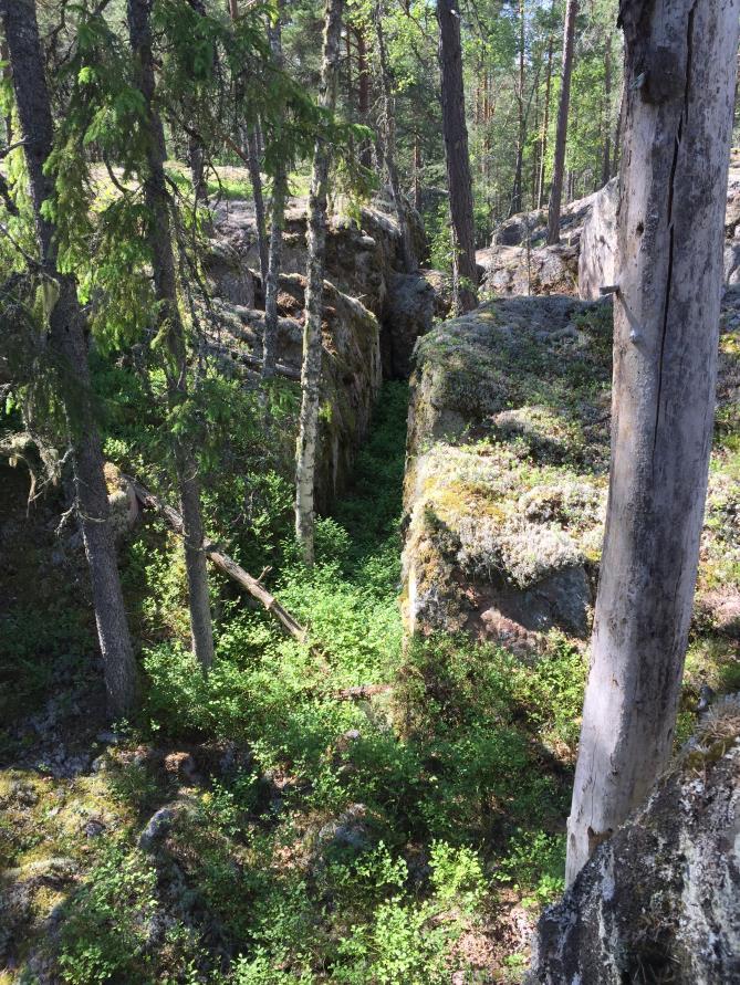 2.1.4 Skötselområde 4, Anordningar för friluftslivet Beskrivning Idag har området mycket få besökare. Troligen på grund av sitt otillgängliga läge utefter järnvägen.