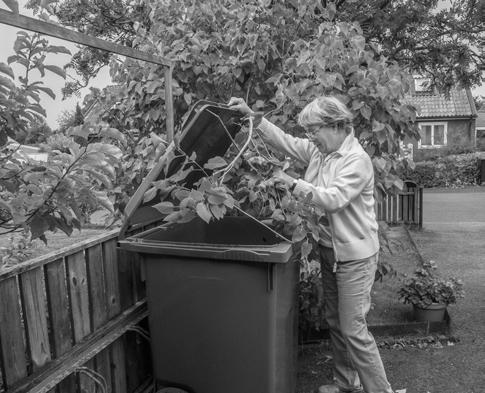 Enklare att hantera trädgårdsavfallet Att ta hand om sitt trädgårdsavfall kan göras på flera olika sätt i Täby. Länge trodde vi väl att kompost var enda möjligheten men så är det inte.