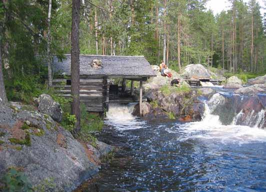 Detta måste betraktas som ett mycket bra resultat och att ett stort intresse funnits för projektet bland delägarna. Nu när projektet är avslutat röjs det dessvärre, med bidrag, åter under 300 ha/år.