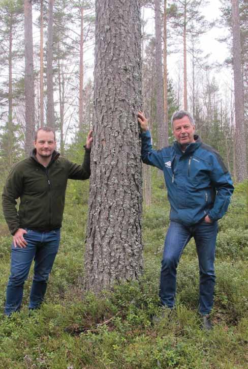 Vinsten med sammanslagningen är att det ska bli effektivare att förvalta vägarna när man administrerar, planerar och beställer underhåll.