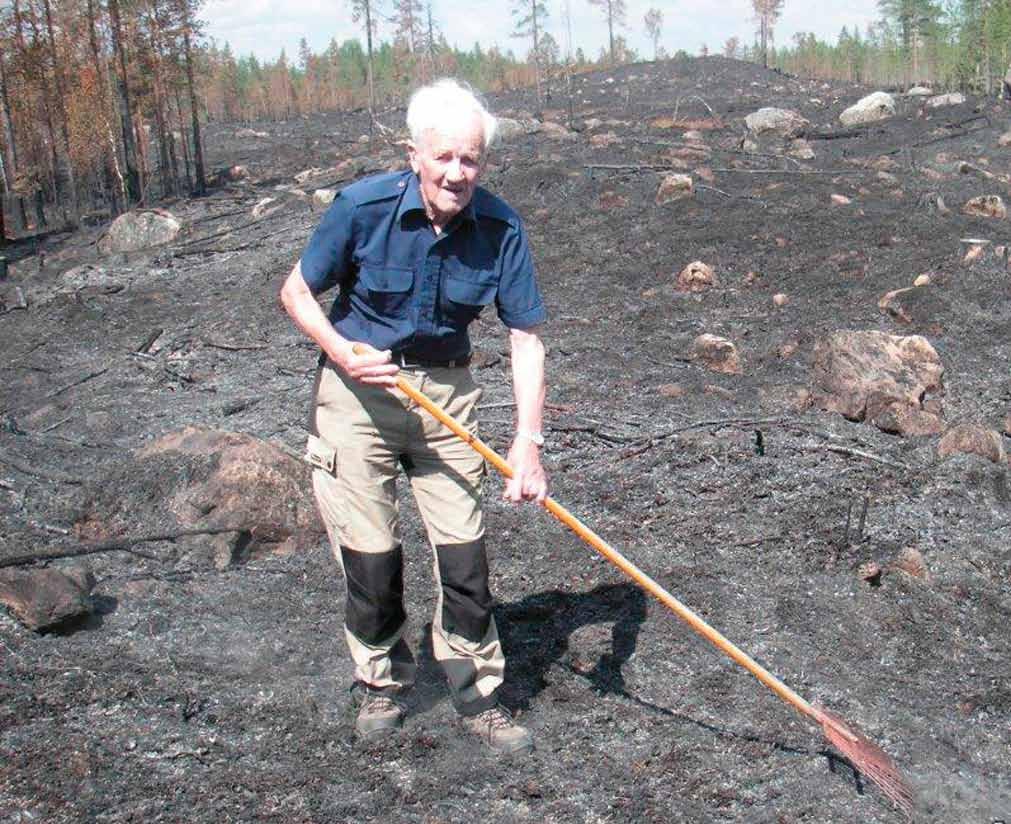 Ingemar minns Operation Tippingvägen På 50-talet hade vi inte tillräckligt med frö och plantor till att klara föryngringen på alla kalmarker. Det var att tro på självsådd.