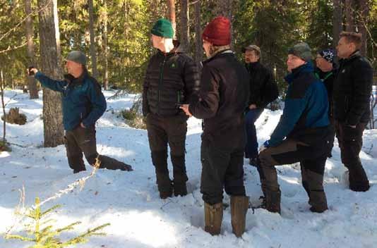 En bra väg i det här fallet är där marken skadas så lite som möjlig samtidigt som virket körs ut på ett kostnadseffektivt sätt.