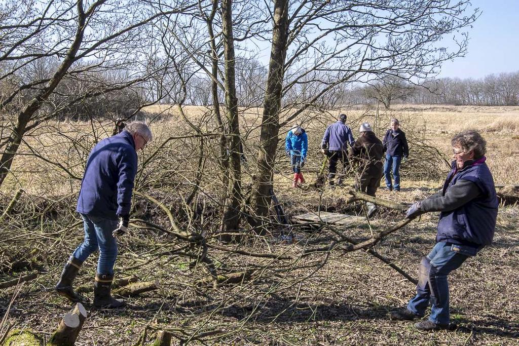 Fagning av Kastberga äng Söndag 14 april kl.9.00 Fagning är en viktig del av slåtterängens skötsel. Det innebär vårstädning som ger bättre livsmiljö för den spirande ängsfloran.