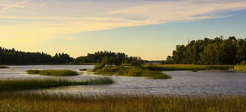 Åsnens nationalpark invigd 2018 Lördag den 11 maj kl 7.00 Åsnens nationalpark är 1873 hektar och ligger i Alvesta- och Tingsryds kommun med angränsning till Växjö kommun.