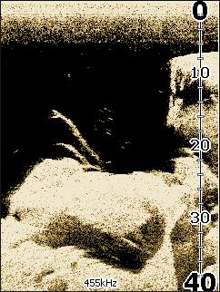 Downscan-alternativ Den vita bakgrundspaletten fungerar bra för ekon i vattenkroppen.