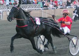 Derbystoet 2013 1 Eldjenta 29,6 Björn Garberg e Lome Elden Rigerljenta Äg: Annelise Wara & J Midtlyng, Norge Uppf/trän: Annelise Wara, Norge 2 Hulte Nova 29,6g Jan-Olov Åberg 3 Odile Kiro 29,6 Ove A