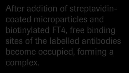 Light units FT4 reaction principle Concentration After addition of streptavidincoated microparticles