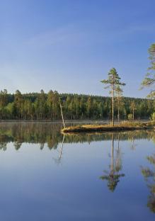 70 MINORITETSLAGEN I