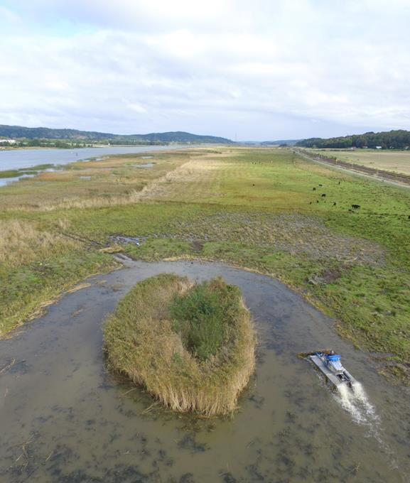 Andra uppdrag Strandstädning (troligen utökning 2018)