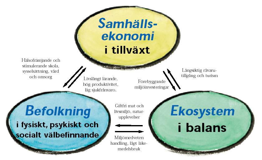 7 Gemensam värdegrund i kommunens planering Kommunens handlande styrs av en rad planer och program.