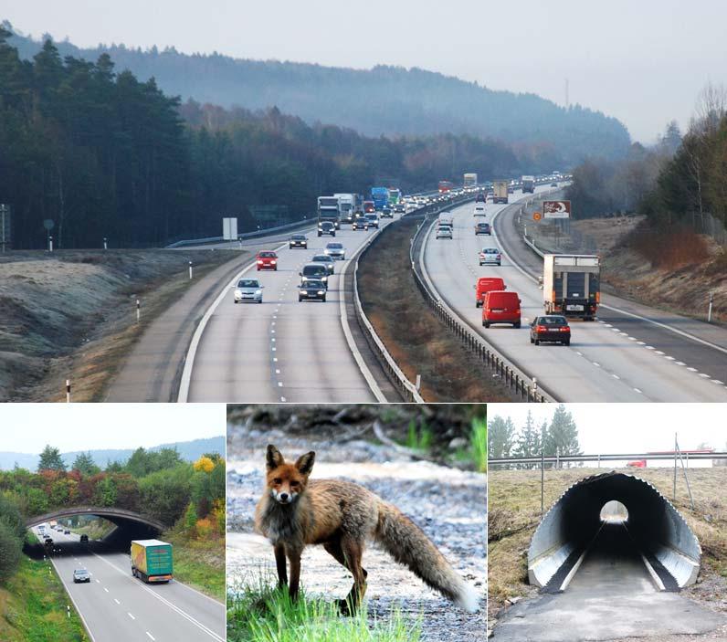 VÄGPLAN Väg E6, Faunapassager vid Sandsjöbackaområdet Mölndals stad och Kungsbacka kommun Västra