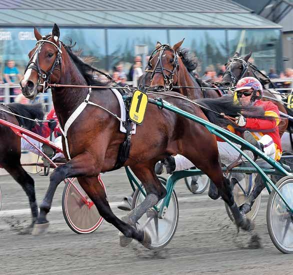 SOLVALLA Nr /09 Pris 0 kr JUNI Första start 8.