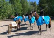 Division 3 häst Norrby Division 3 ponny Stora Ekeby RIDSKOLEMÄSTERSKAPET 2018 Årets ridskolemästerskap