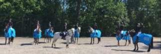 Ridskolemästerskapet består av tre moment dressyr, hoppning och hästkunskap.