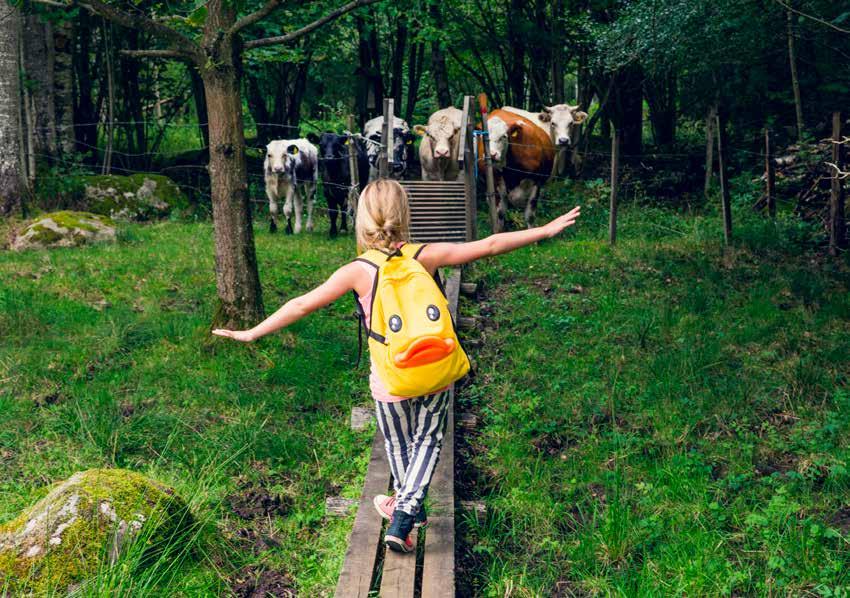 ALLMÄN REGIONAL UTVECKLING FOTO: XXXXXXXXXXXX FOTO: ISTOCK rande. Region Skåne ska agera kraftfullt för att bidra till de regionala miljömålen.