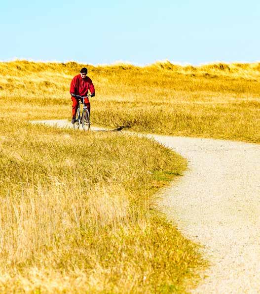 skapar nya företag. Näringslivet har en särskilt viktig roll i arbetet för en hållbar utveckling. Region Skåne ska fortsatt vara ett föredöme vad gäller miljöarbete.