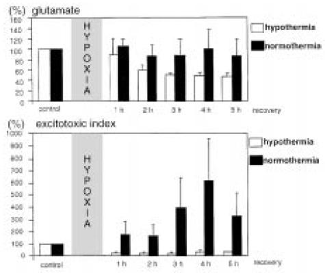 Hypotermi minskar frisättningen av excitotoxiska aminosyror efter asfyxi Glutamate