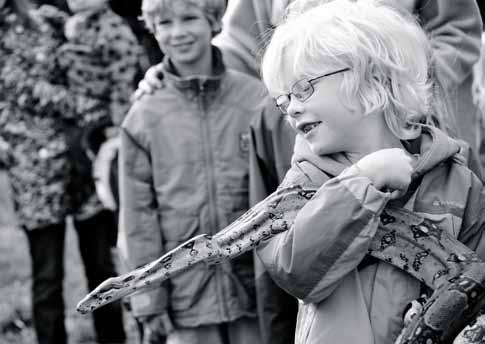 Den stora nyheten i år var en livs levande boaorm från Skansenakvariet. Undertecknad hade nog trott att det skulle vara lockande nog att bara titta på boaormen Snoddas.