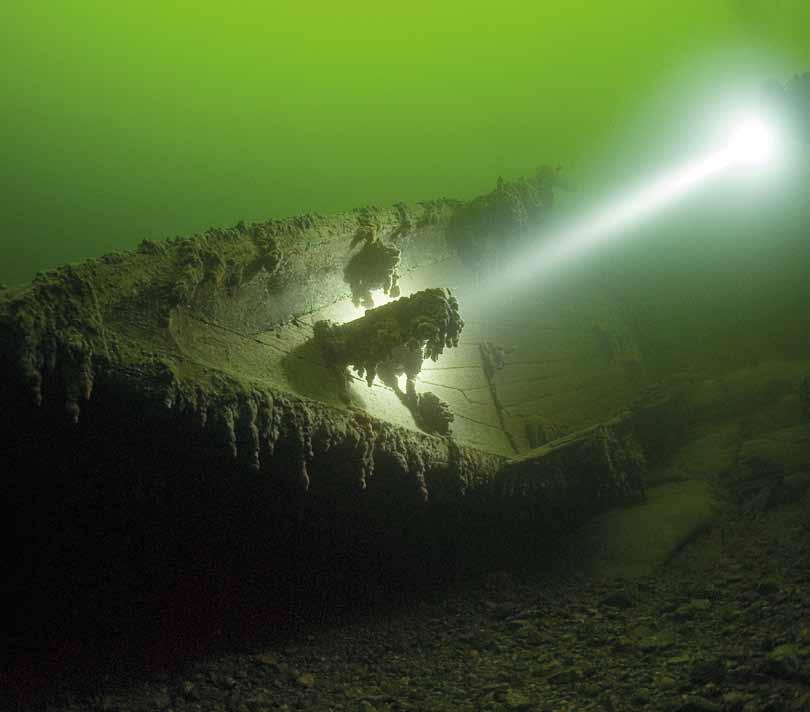 Under ytan Lika mycket som finns att upptäcka på land finns att upptäcka under ytan. Havet utanför Höga Kusten är spännande snorkel- och dykvatten.