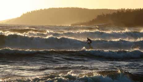 Förtöjning kan ske mot någon av holmarna i viken eller mot den södra stranden. Riskområde för skjutning. Håll koll på röda varningsflaggor.