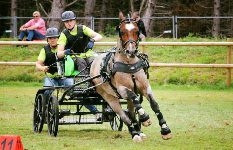 Körning Linnea Kristiansen En fantastisk säsong 2017 6e plats i