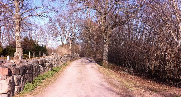 närbelägna observationer av större vattensalamander, Stadsbyggnadsförvaltningen).