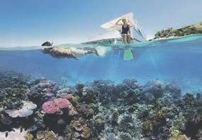 Upplev Australien och Nya Zeeland Sydney, Rock & Reef På denna fantastiska resa får du uppleva tre helt olika områden i Australien.