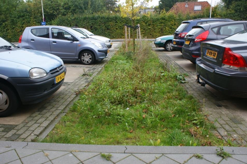 Figur 7. Exempel på grönyta intill parkeringsyta. Infiltrationsstråk I de fall som områden blir instängda höjdmässigt kan infiltrationsstråk eller infiltrationsytor anläggas.