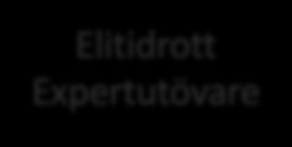 Idrottsdebut 6-9 år Föreningsidrott Talangssystem Elitidrott Expertutövare Ju tidigare du är född på året och ju tidigare du börjar med idrott