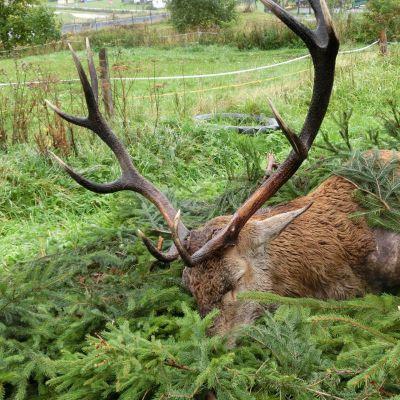 Ladek Zdroj ligger 300 km från gränsövergången vid Forst/Olszyna, 90 km från staden Walbrzych, som är närmsta större