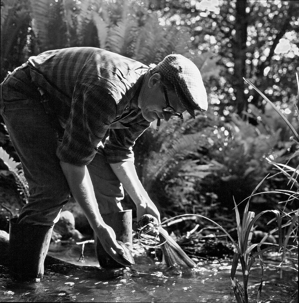 förutse. Den stora boven i dramat var människan, då de flesta förödande låga vattenstånden orsakades av de industrier vilka låg längre upp utmed Mieån.