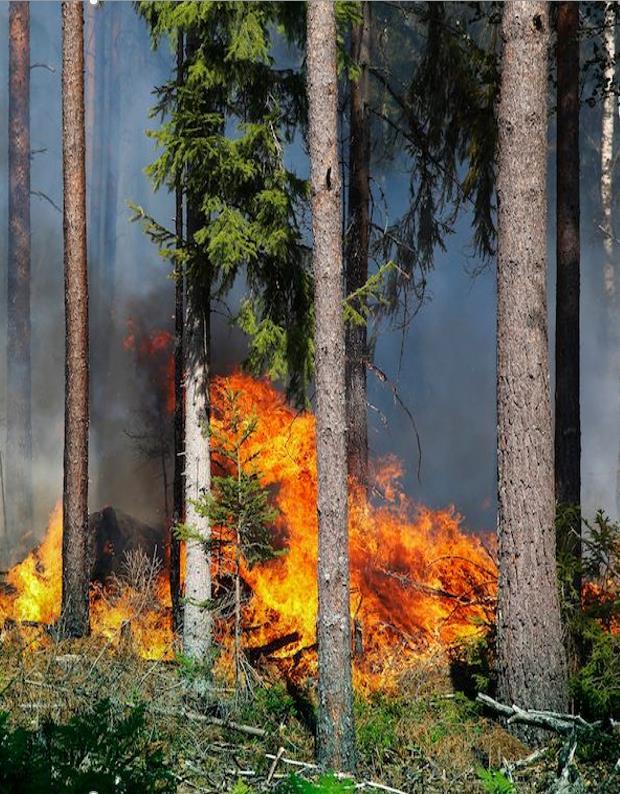 4 Allvarliga, återkommande och principiellt intressanta avvikelser I detta kapitel beskrivs ett urval allvarliga, återkommande och principiellt intressanta avvikelser med syfte att främja