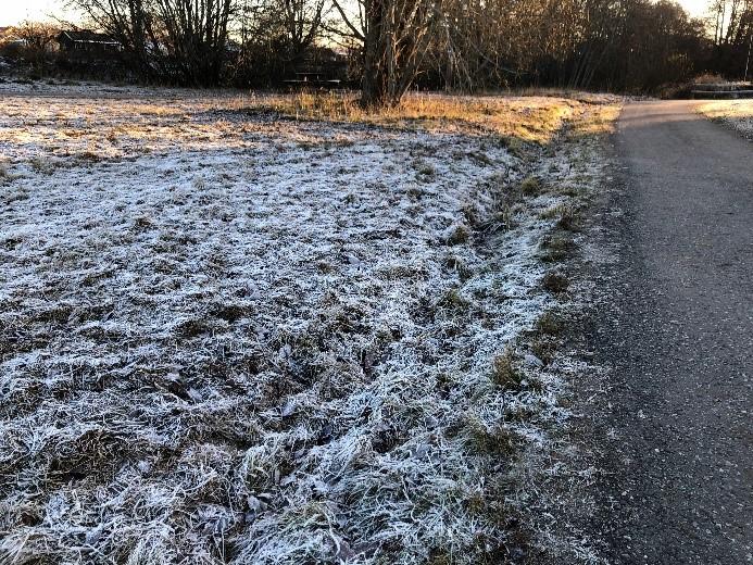 Artrik fuktäng utmed bäcken som lockar till sig olika pollinatörer. Anläggning och skötsel: Fräs bort befintlig örtvegetation och så in en fröblandning med ängsfrön.