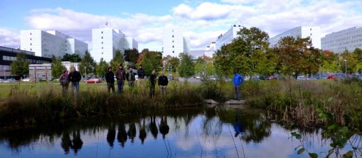 Hur funkar dagvattenanläggningar Biologi, sedimenthantering, provtagning