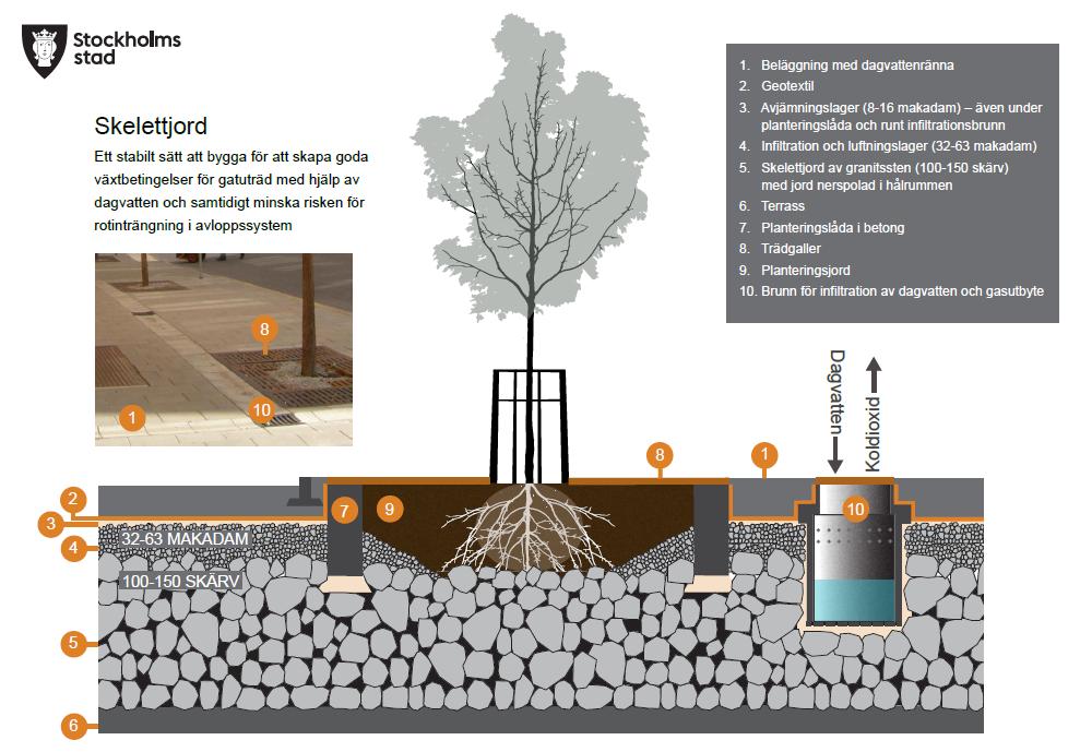 Tillsyn av dagvattenanläggningar 2019-05-08 (55) Skelettjord Det finns två olika typer av skelettjordar: vanlig skelettjord och luftig skelettjord.