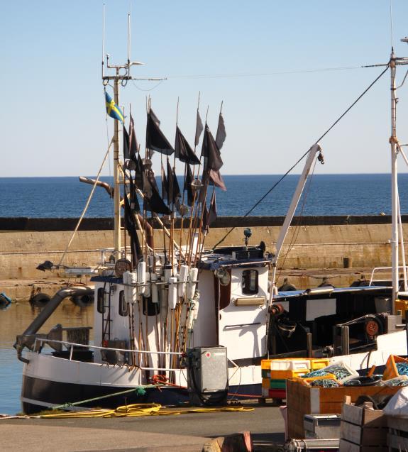 Österlenleden, Ystad - Simrishamn, 4 nätter 3(6) Dag 4 Skillinge Simrishamn Vandringen går idag utmed stigar och småvägar, strandängar, spännande berghällar och pittoreska fiskebyar.