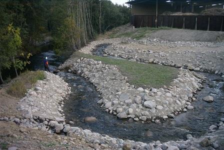 Åtgärder Naturliga fiskvägar