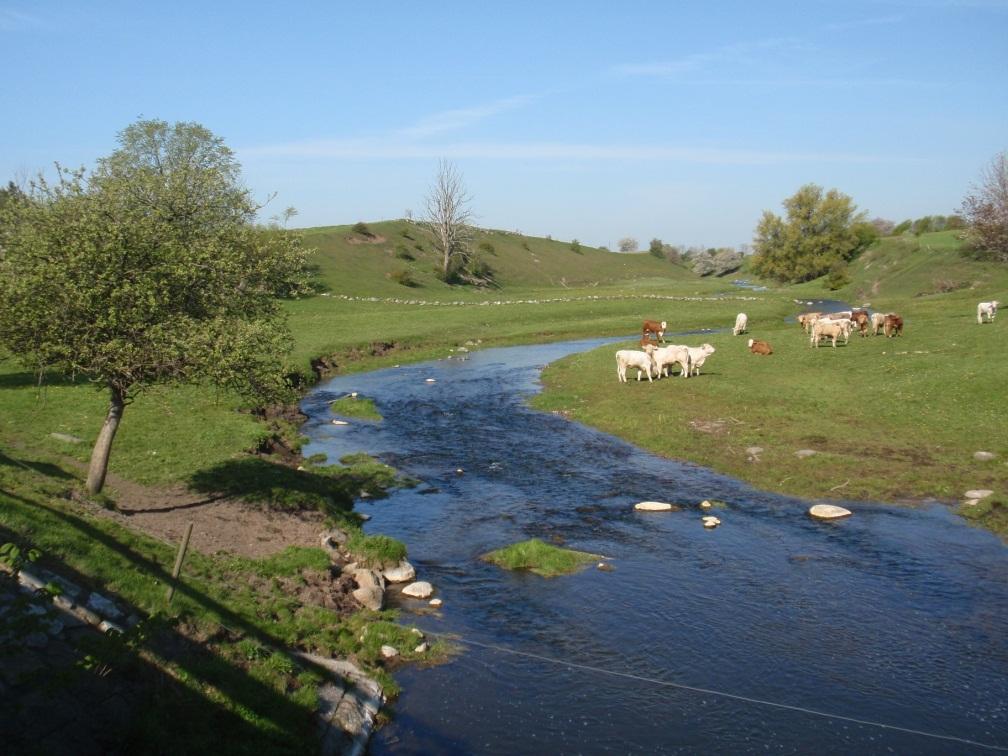 Tommarpsån,