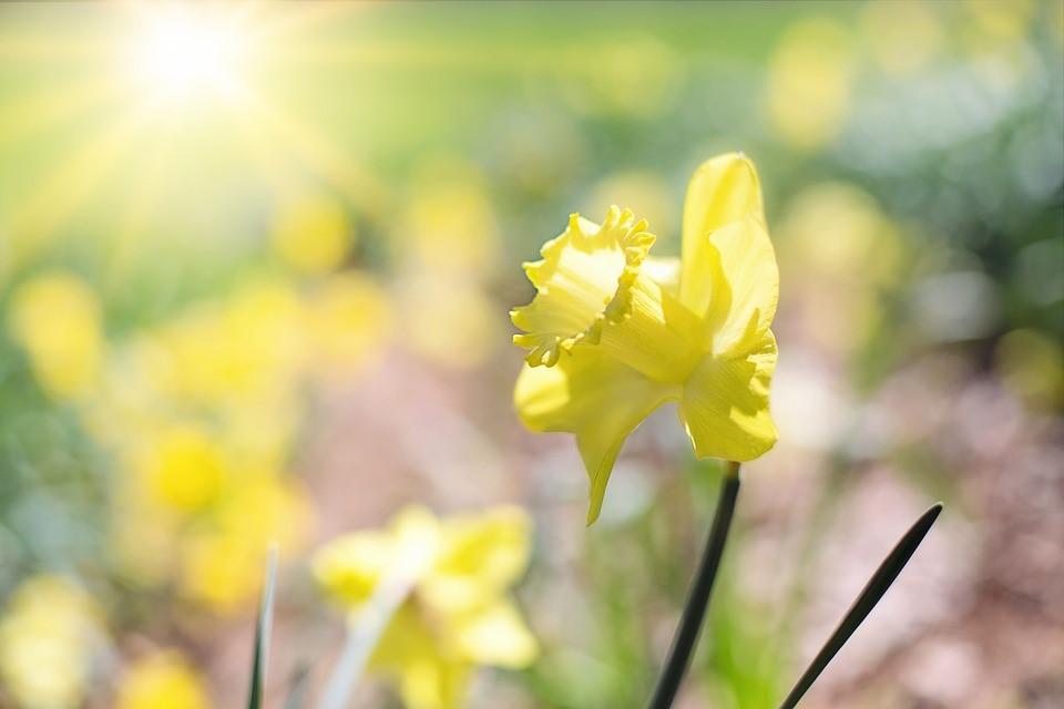 Påskens gudstjänster 2019 ÄLVSBY KYRKA Onsdag 17 april kl. 18.30 Passionsgudstjänst, Stig Strömbergsson. Skärtorsdag 18 april kl. 18.30 Skärtorsdagsmässa, Mattias Olofsson. Långfredag 19 april kl. 11.