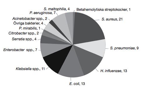 2004-07 VAP Karolinska