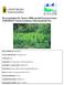 Bevarandeplan för Natura 2000-områdeNytorpsravinen (SE ) Gnesta kommun, Södermanlands län