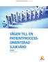 UTVECKLINGSCENTRUM M A J 2 0 0 8 VÄGEN TILL EN PATIENTPROCESS- ORIENTERAD SJUKVÅRD FREDRIK NILSSON